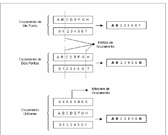 Figura 2.2.4.2.1: Comportamentos dos Diferentes Tipos de Cruzamento 