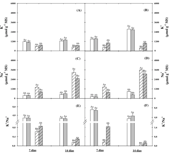 Figura  6.  Teores  de  potássio  (A  e  B),  sódio  (C  e  D)  e  relação  K + /Na +   (E  e  F)  em  folhas  e  raízes  de  plantas  de  sorgo  cultivadas em solução nutritiva na ausência ( ) ou na presença ( ) de NaCl a 75 mM e tratadas com prolina a 30