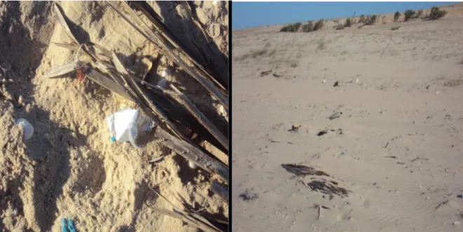 Figura 08 - Lixo na praia:  entorno da RESEX da Prainha do Canto Verde 