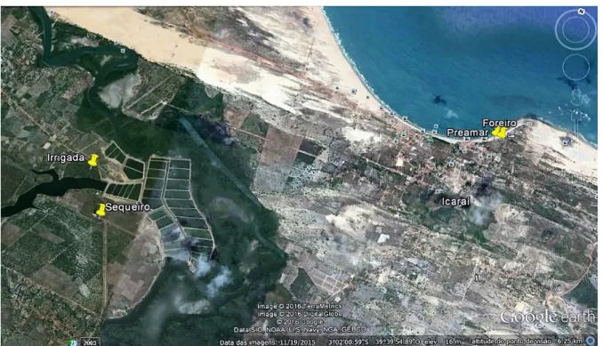 Figura 6 – Imagem por satélite da localização da área e ambientes de estudo. Icaraí de Amontada,  Ceará, 2017 