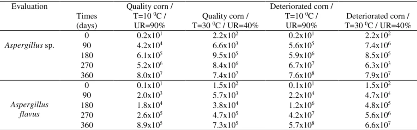 Table 6 - Evaluation of fungus (CFU.g -1 ) for different types of corn, the conditions and time of storage  Evaluation  Times  (days)  Quality corn /  T=10 0C / UR=90%  Quality corn /  T=30 0 C / UR=40%  Deteriorated corn / T=10 0C / UR=90%  Deteriorated c