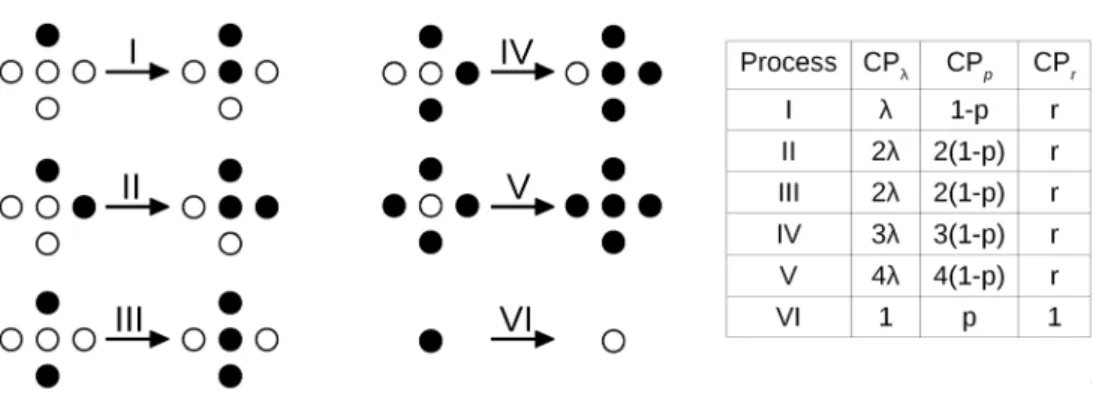 Figure 1.   Update rules in 2D contact processes. Black sites are occupied and white  sites are empty