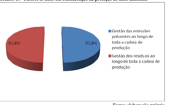 Gráfico 10 - Fatores levados em consideração na proteção do meio ambiente 