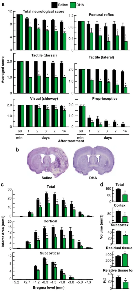 Fig. 1 DHA improves behavioral and histopathological outcomes 2 weeks after stroke. Rats were subjected to 2 h of MCAo and treated with DHA or saline iv at 3 h after onset of stroke