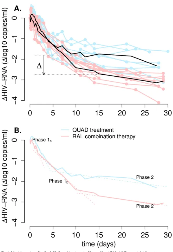 Fig 1. Viral dynamics after the initiation of treatment with or without RAL. (A) Blue and pink lines show the viral load relative to baseline for study participants in the QUAD treatment and RAL-combination therapy, respectively