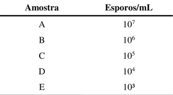 Tabela 1 - Identificação das amostras de queijo tipo Camembert elaboradas com diferentes concentrações de  esporos no inóculo  Amostra  Esporos/mL  A  10 7  B  10 6 C  10 5 D  10 4 E  10³ 