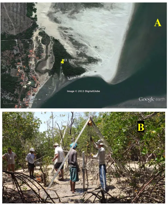 Figura  3.2  A)  Imagem  de  satélite  aproximada  da  área  coberta  por  vegetação  de  manguezal  onde  foi  coletado  o  testemunho  CE1309