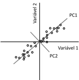FIGURA 3.8 - Projeção das componentes principais (PCs). 