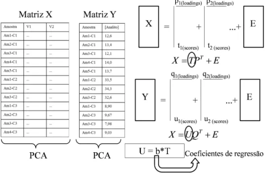 FIGURA  3.9 - Representação simplificada do PLS.  