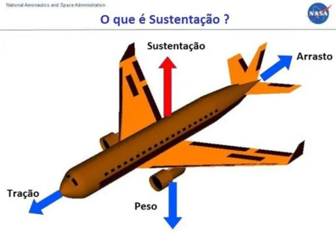 Figura 2  –  Força de Sustentação atuando em um avião em pleno voo.  