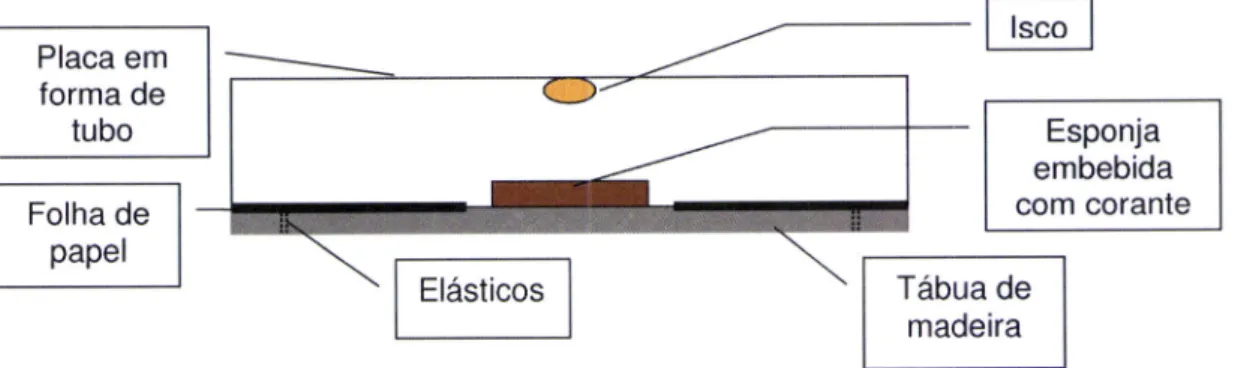 Figura  1:  Esquema  exempliÍicativo  da  montagem  de um  tracking  tunnel  para iscagem.