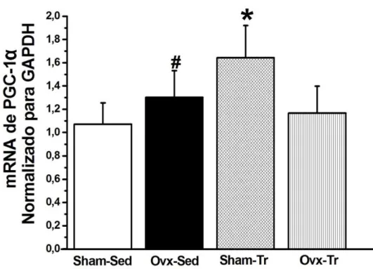 Figura 10- Expressão genica de PGC1- α nos grupos sham operado sedentário (Sham -Sed), ovariectomizado  sedentário (Ovx-Sed), sham operado treinamento resistido (Sham-Tr) e ovariectomizado treinamento  resistido (Ovx-Tr)