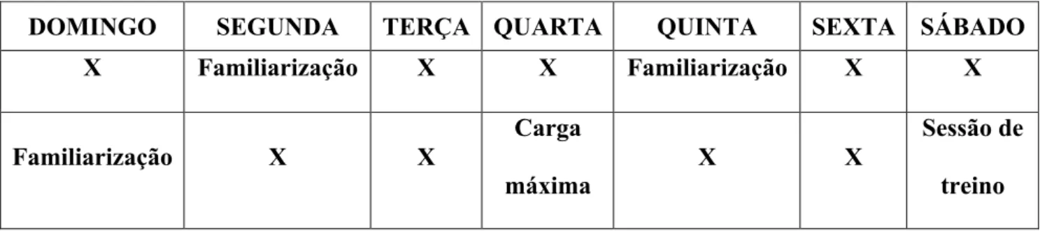 Tabela 3 - Exemplo da organização dos dias de treinamento resistido (TR).  