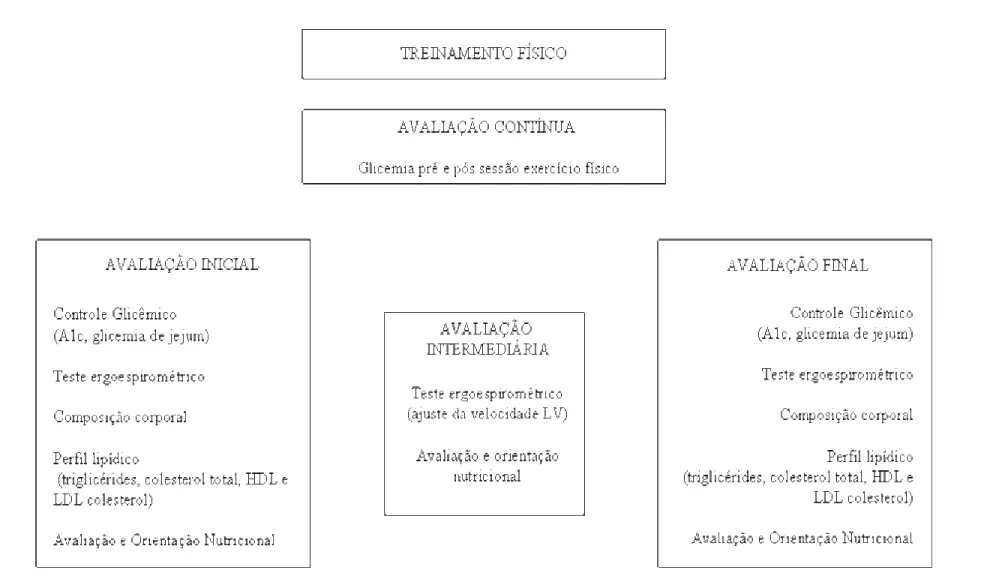 Figura 1 - Protocolo de Estudo. A1c- hemoglobina glicada, HDL e LDL - lipoproteína de alta e de baixa densidade, LV - limiar ventilatório