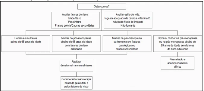 FIGURA 1 - Algoritmo para a avaliação da osteoporose  