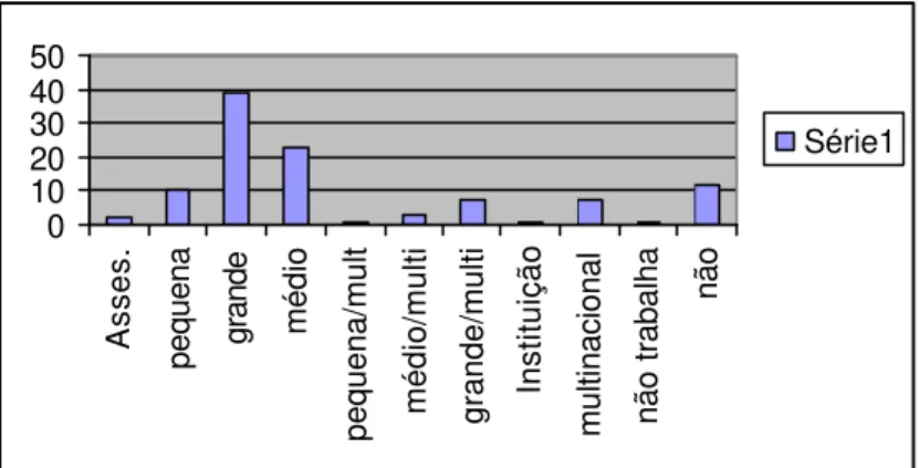 Figura 3. Distribuição segundo o porte da empresa .   7.2.3   Nível da hierarquia do administrador 
