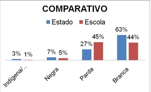Figura 2: Realidade cor/raça do Estado de São Paulo, levantada pelo IBGE 2003. Fonte: 