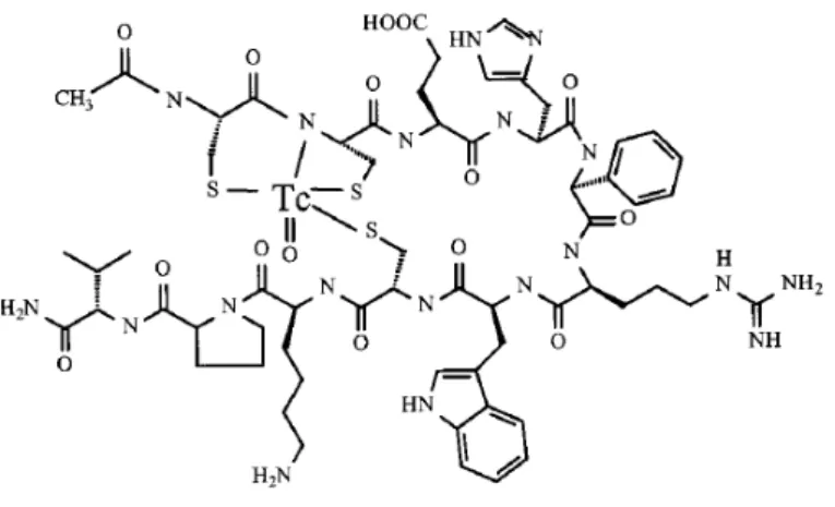 Figure 1.5  ‐  Structural  model of  99m Tc‐CCMSH for melanoma imaging. 22   The  linear  peptide  Acetyl‐Cys‐