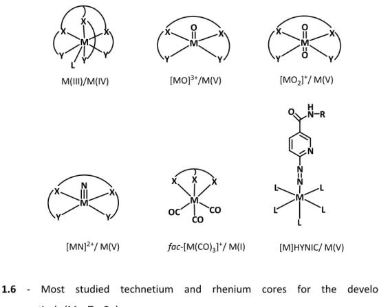 Figure  1.6  ‐  Most  studied  technetium  and  rhenium  cores  for  the  development  of  radiopharmaceuticals (M = Tc, Re). 