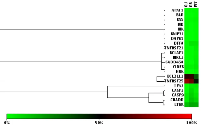Figura 5:  Heatmap mostrando  o perfil de metilação  dos genes relacionados a  apoptose  nos grupos  estudados