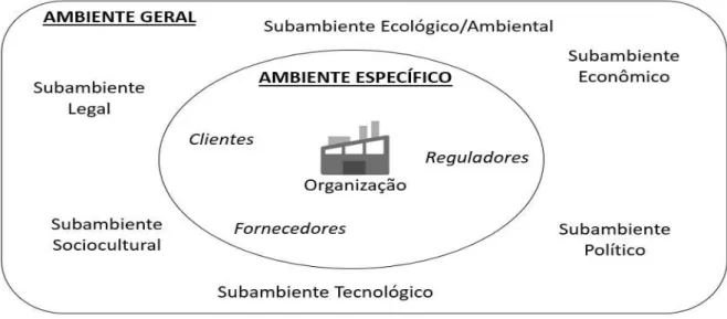 Figura 1   Divisão do ambiente organizacional: específico e geral 