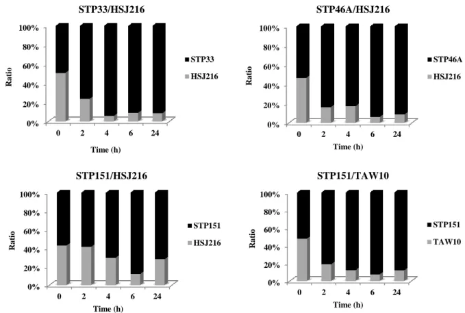 Figure 8 – Co-culture growth of the strain pairs STP33/HSJ216, STP46A/HSJ216, STP151/HSJ216  and STP151/TAW10