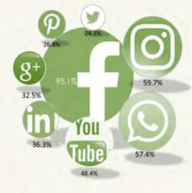 Figura 6: Distribuição de utilizadores de redes sociais mediadas com conta criada por rede social  Fonte: Marktest Consulting 