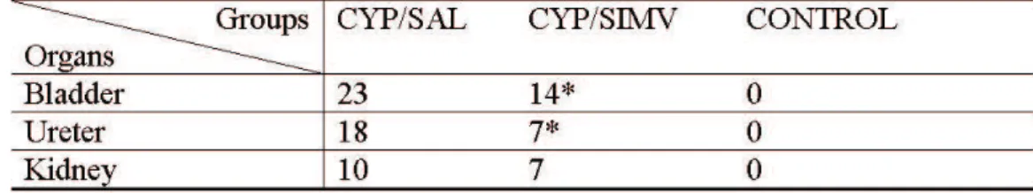 TABLE 2 – Plasma cytokine values from rats treated with cyclophasphamide, saline 0.9%