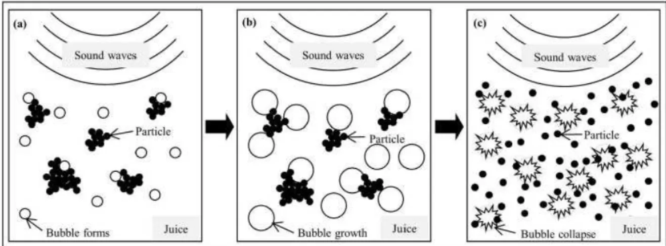 Figura 2.1 Fenômeno de cavitação. (a) formação de bolhas no suco por ondas sonoras; (b) crescimento  das bolhas ao tamanho máximo  e (c) o colapso das bolhas, e dispersão de partículas e ocorrência de  ruptura celular.