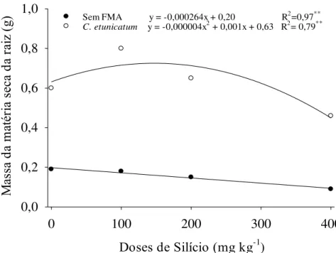 Figura 6 – Efeito da interação entre doses de silício e inoculação com FMA (AxB) sobre a  massa da matéria seca da raiz de Leucaena leucocephala (Lam.) de Wit