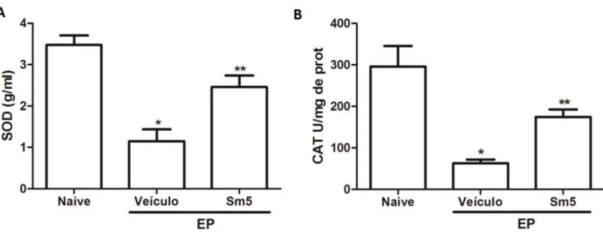 FIGURE  4. Effects of Sm 5mg/kg on superoxide dismutase and catalase concentrations in  gingival tissues