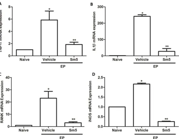 FIGURE 5. Effects of Sm 5mg/kg on tumor necrosis factor alpha (TNF- α), interleukin 1β (IL - -1β),  RANK  and  inducible  nitric  oxide  synthase  (iNOS)  mRNA  levels  in  experimental  periodontitis in rats