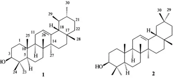 Figura 5. Estrutura molecular dos triterpenos α-amirina (1) e β-amirina (2). 