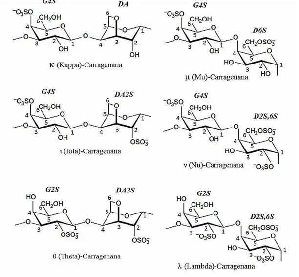 Tabela 2 - Código desenvolvido para diferentes açúcares encontrados nas carragenanas 