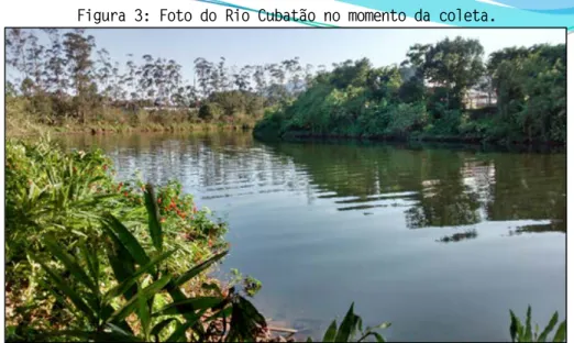 Figura 3: Foto do Rio Cubatão no momento da coleta. 