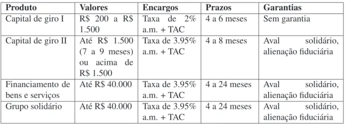 Tabela 7: Produtos da Real Microcr´edito