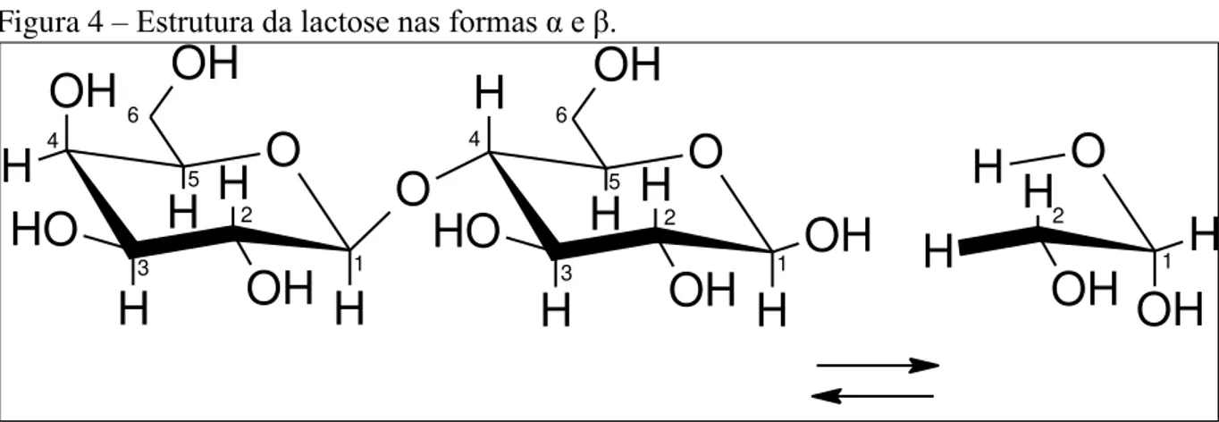 Figura 4 – Estrutura da lactose nas formas α e β.