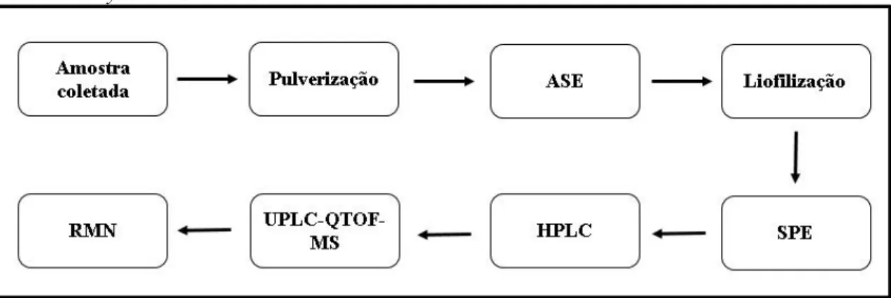 Figura 13  –  Metodologia para a caracterização das substâncias do extrato aquoso das folhas e  frutos de Phyllanthus niruri