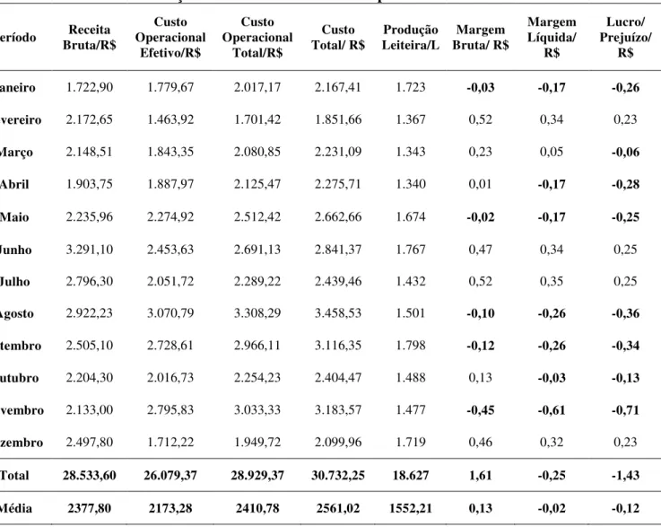 Tabela 2- Avaliação dos indicadores de desempenho durante o ano de 2012. 