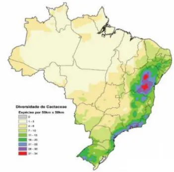 Figura 1- Diversidade de cactácea no Brasil 