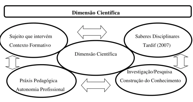 FIGURA 7  – REPRESENTAÇÃO DA DIMENSÃO CIENTÍFICA    