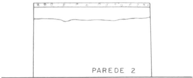 Figura 3.6 – Trinca típica presente no topo da parede paralela à largura da laje (Fonte: THOMAZ) 