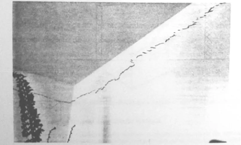 Figura 3.9 – Parede com fissuras inclinadas, em forma de escama, evidenciando a dilatação  térmica da laje de cobertura (Fonte: THOMAZ) 