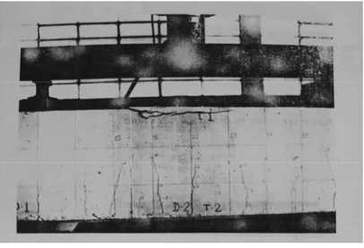Figura 3.31 – Fissuras de flexão em viga de concreto armado descimbrada e carregada  precocemente