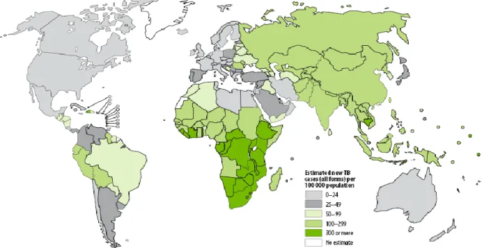 Figura  1  –  Distribuição  geográfica  por  país  da  incidência  anual  estimada  de  novos  casos  de  tuberculose no mundo (extraído de WHO, 2007)