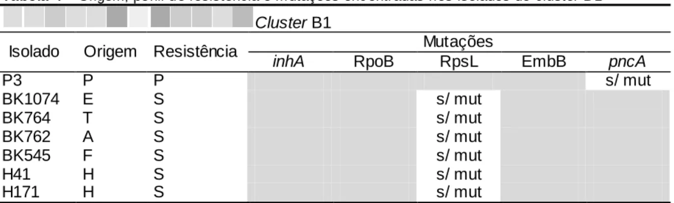 Tabela 4 – Origem, perfil de resistência e mutações enc ontradas nos isolados do  cluster B 1   Cluster B1 