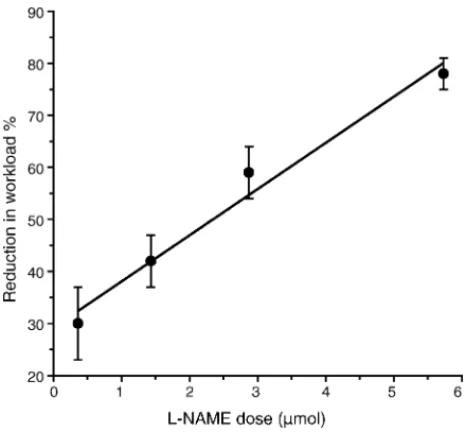 Fig. 1. Effect of intracerebroventricular injection of 2 ␮L of l -NAME (0.36 ␮mol, n = 4; 1.43 ␮mol, n = 9; 2.87 ␮mol, n = 4; 5.73 ␮mol, n = 4) on workload