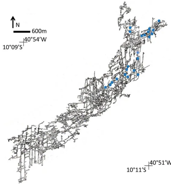 Figura 1.2: Mapa Toca da Boa Vista e pontos visitados (em azul), mapa cedido pelo (Grupo Bambuí  de Pesquisas Espeleológicas, 2013)