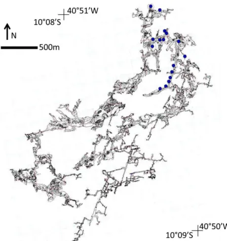 Figura 1.3: Mapa Toca da Barriguda e pontos visitados (em azul), mapa cedido pelo (Grupo Bambuí  de Pesquisas Espeleológicas, 2013)