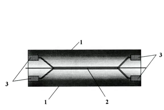 Figura 2.2.4-Unidade de difusão gasosa: 1-Blocos de perspex; 2-membrana; 3-ligações  de entrada e saída
